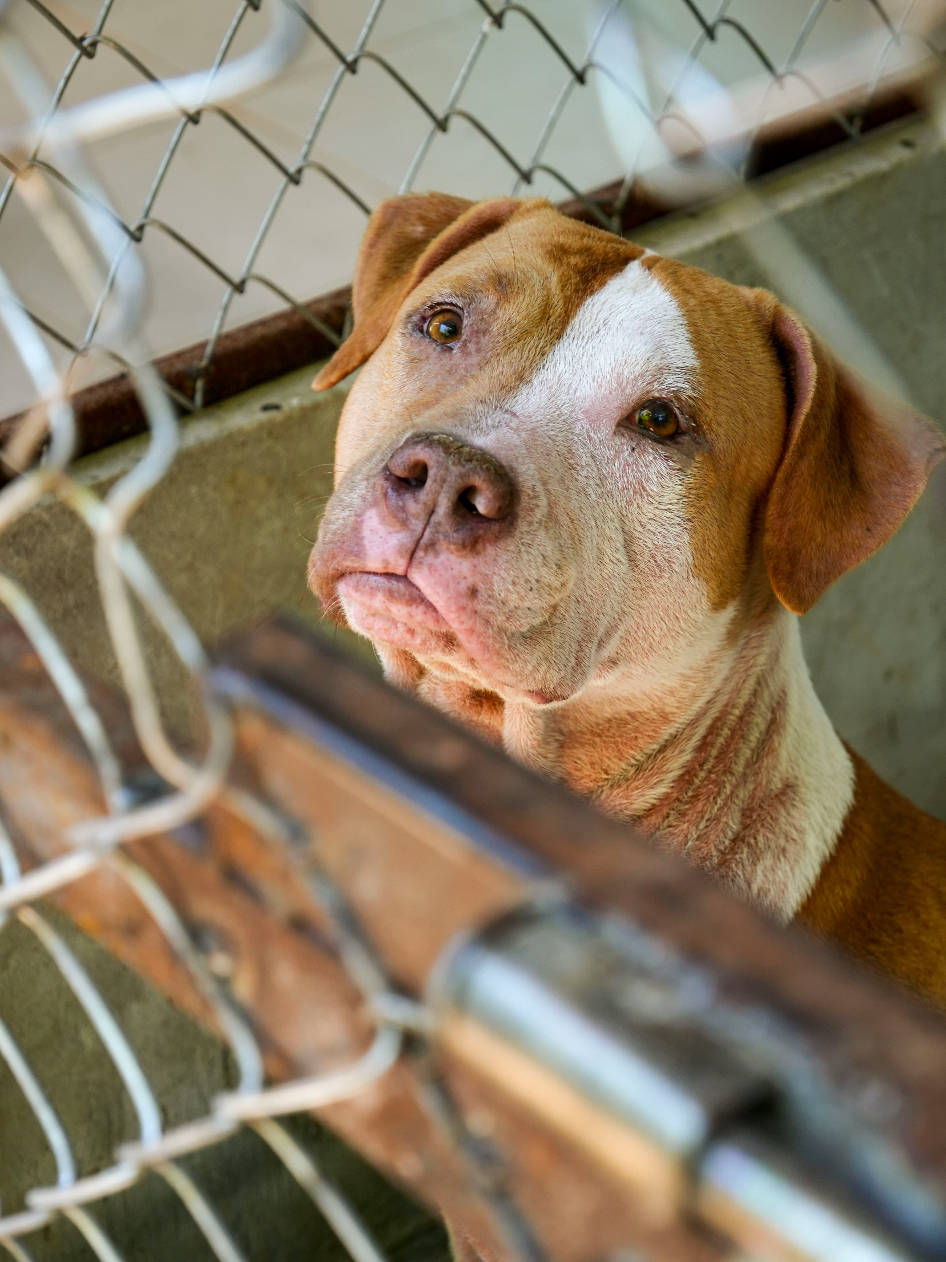 Every animal deserves thoughtful care.