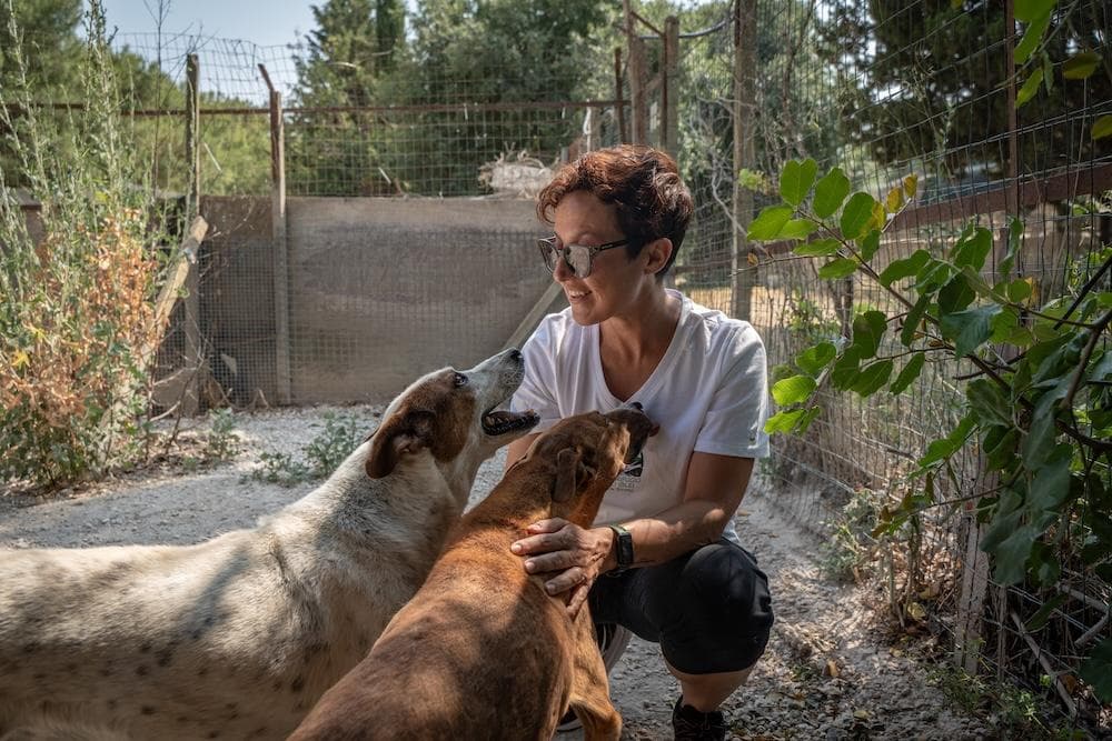 Creating stronger connections between people and animals.